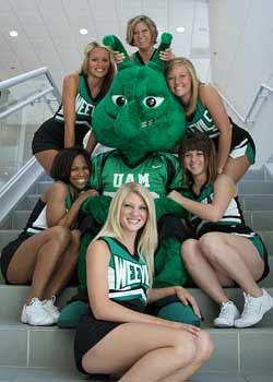 University of Arkansas at Monticello: The Boll Weevil Mascot