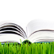 What Are the Greenest College Campuses?