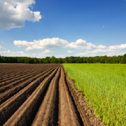 Applied Horticulture/Horticultural Operations Colleges