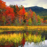 Colleges in New Hampshire